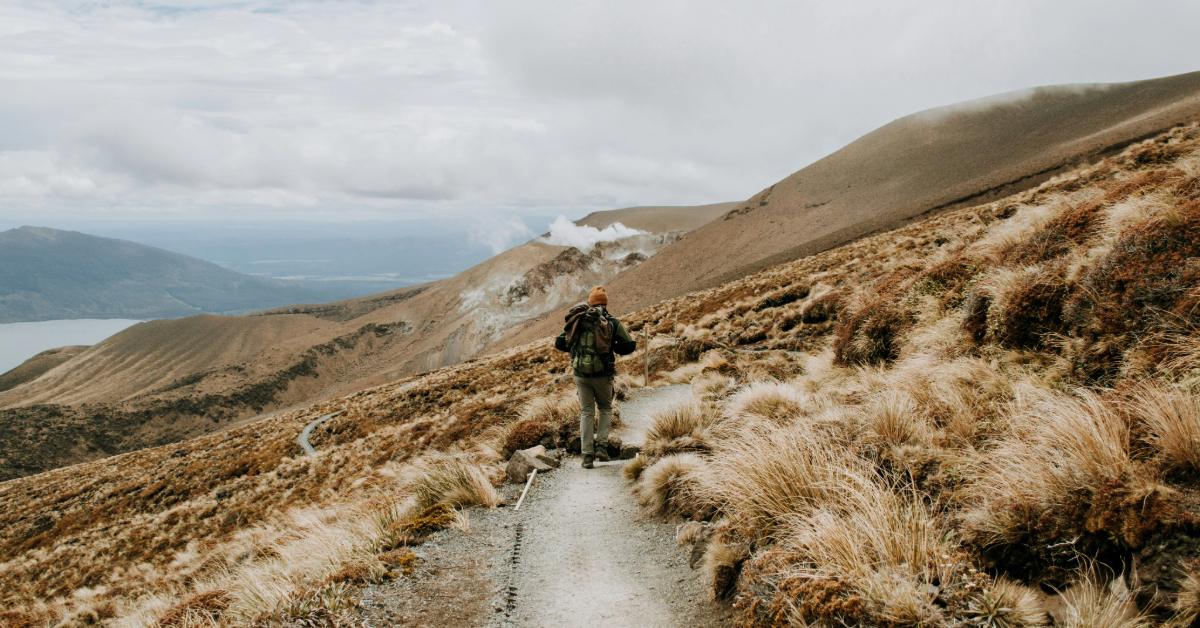 Non Editorial/ Unsplash