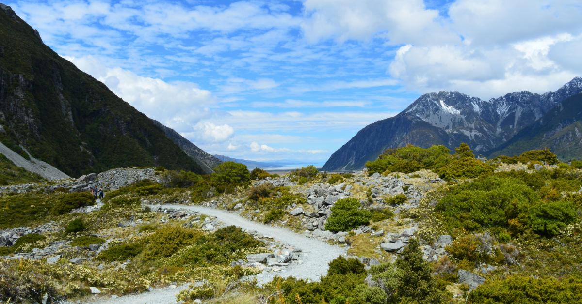 Non Editorial/Unsplash