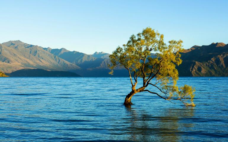 Lake Wanaka