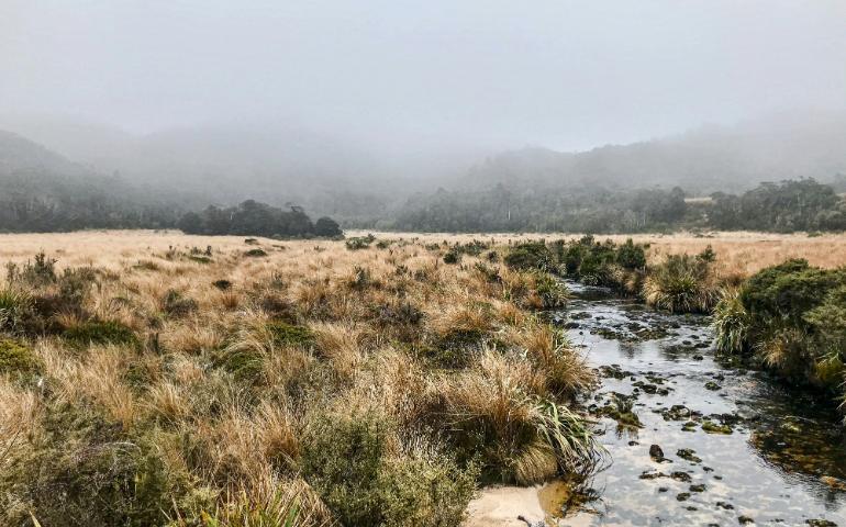 Kahurangi National Park