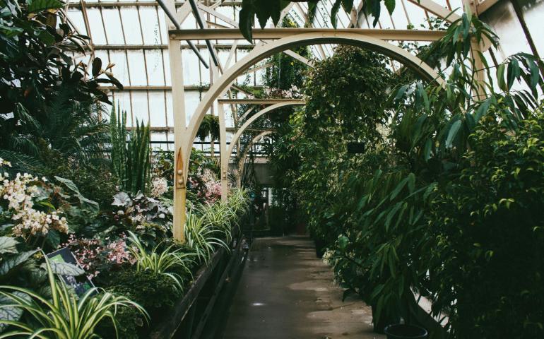 Christchurch Botanic Gardens