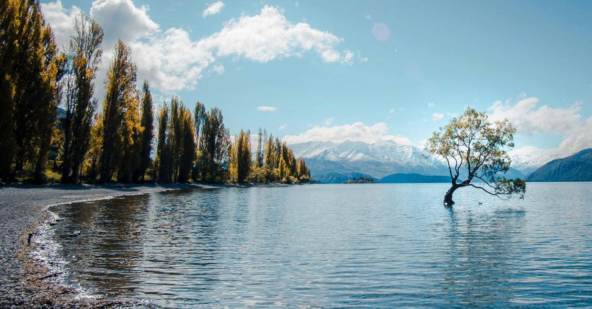 Non Editorial/ Unsplash