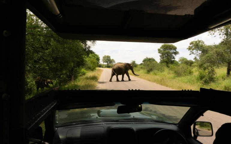 Kruger National Park