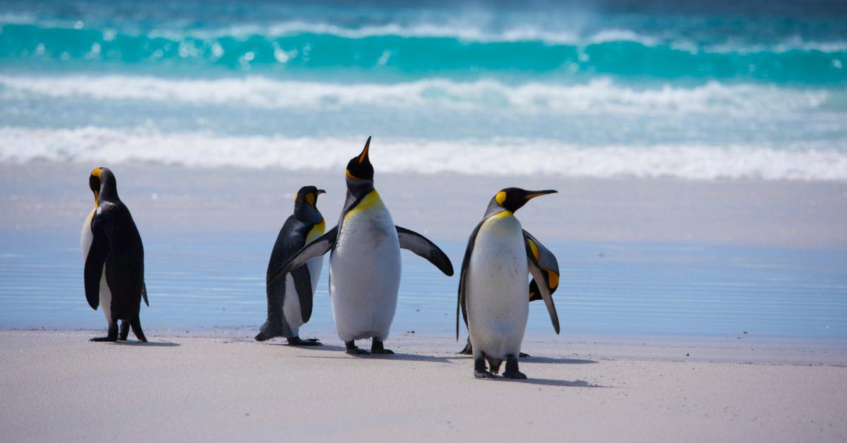 Non Editorial/ Unsplash