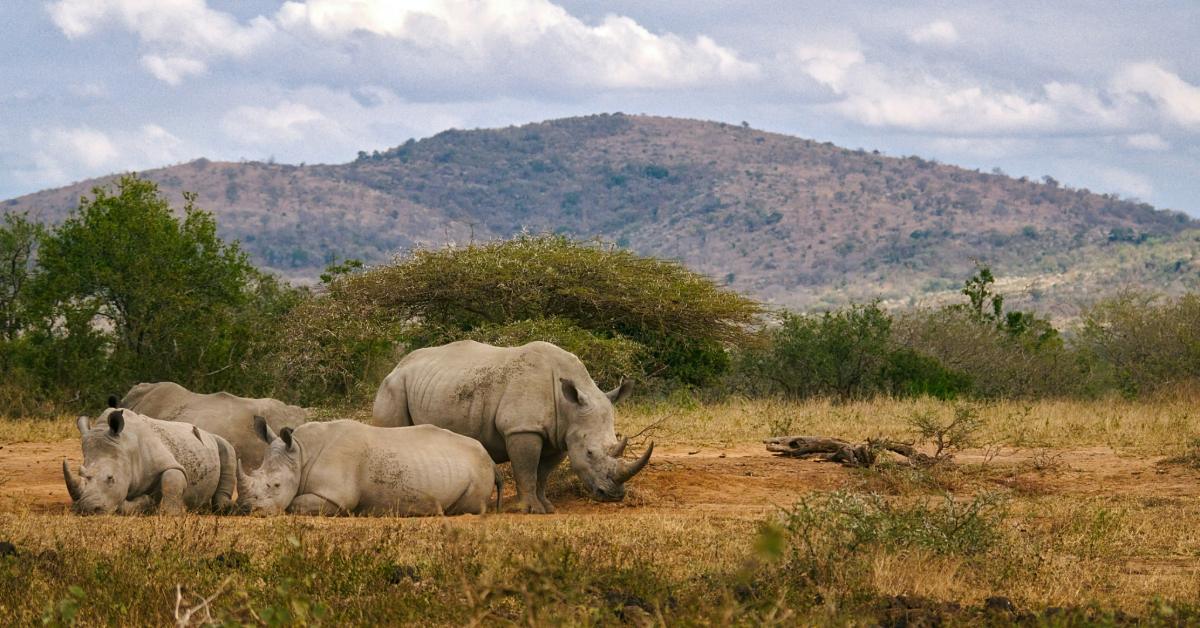 Non Editorial/Unsplash