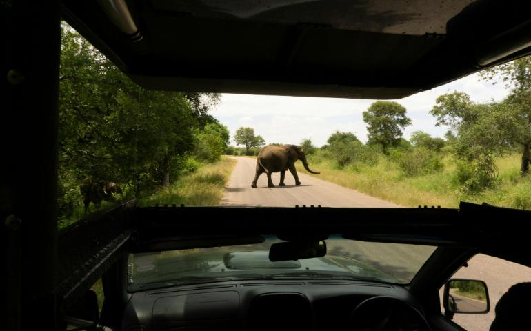 Kruger Park