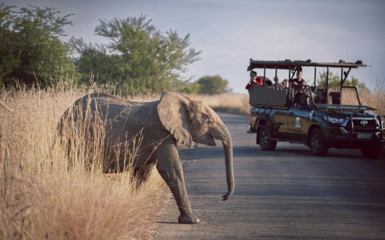Pilanesberg National Park