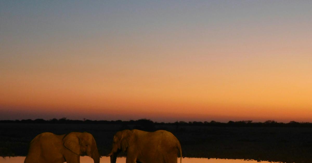 Non Editorial/ Unsplash