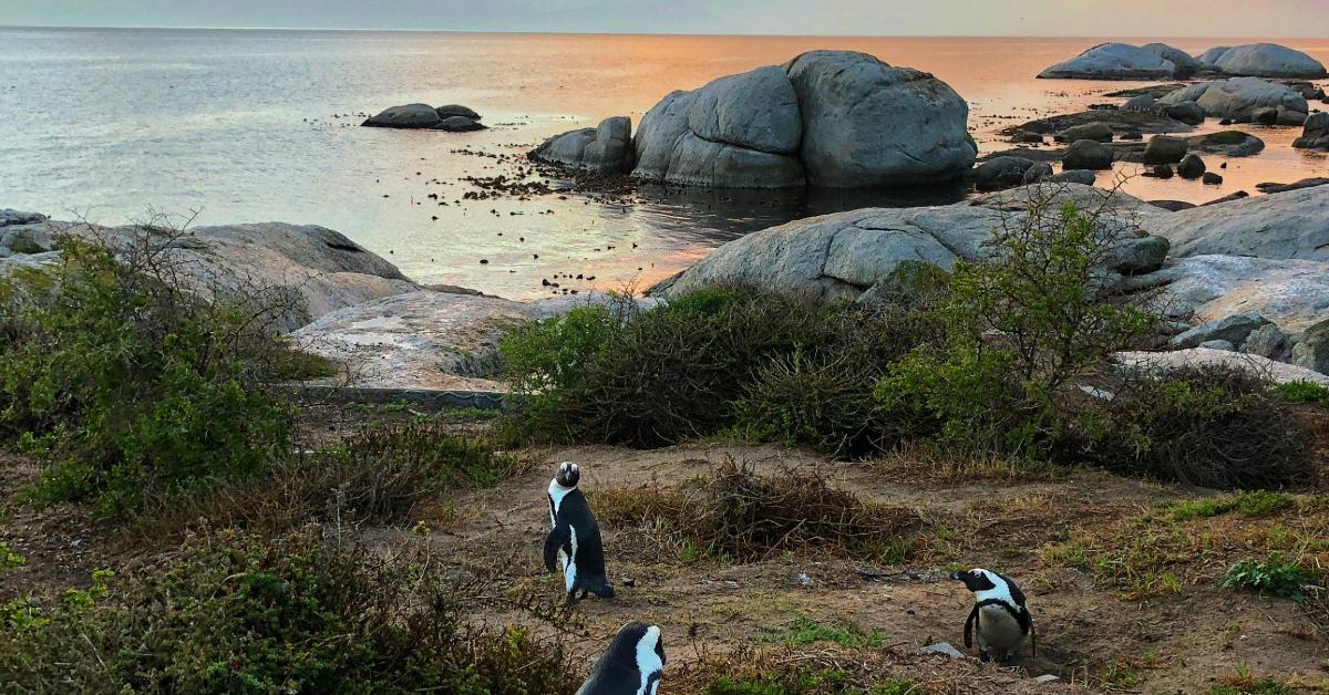 Non Editorial/ Unsplash