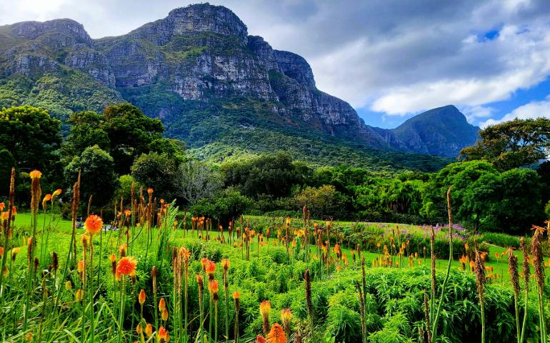 Kirstenbosch National Botanical Garden