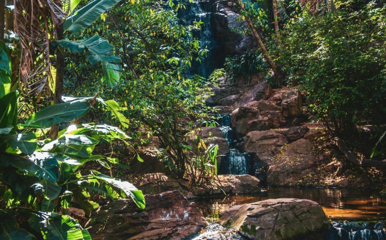 Pretoria Botanical Gardens