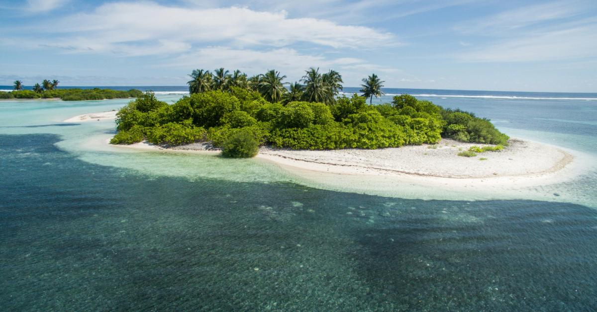 Non Editorial/Unsplash