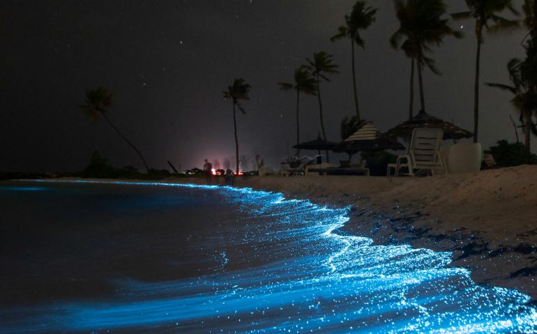 Night Glow Beach