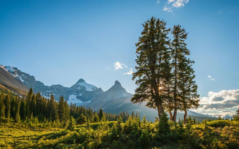 Jasper National Park