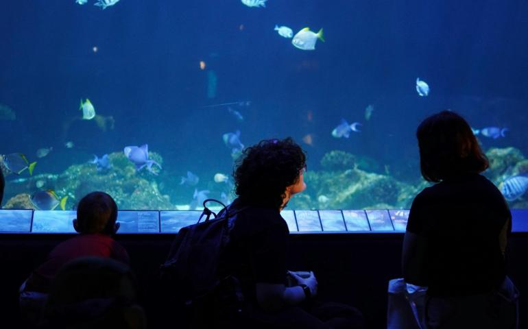 Vancouver Aquarium