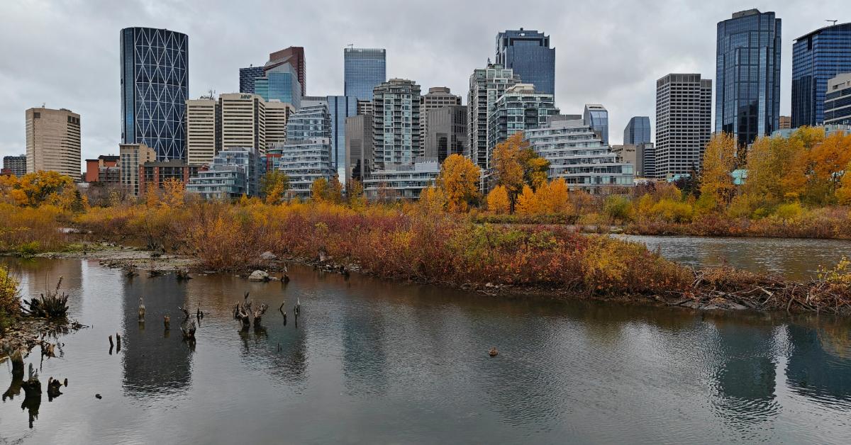 Non Editorial/Unsplash