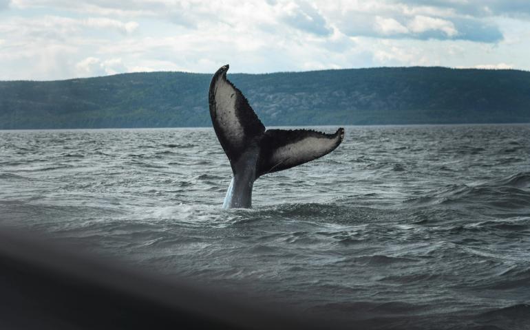 Tadoussac, QC, Canada