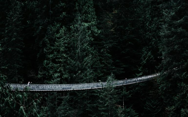 Capilano Suspension Bridge