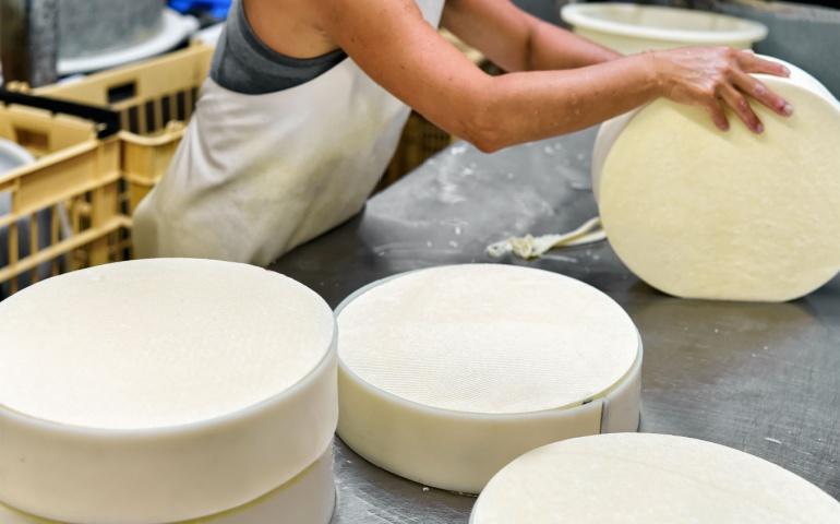 Cheese making in France