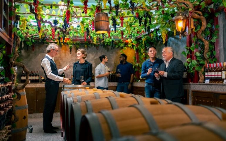 A wine tasting tour, Bordeaux, France