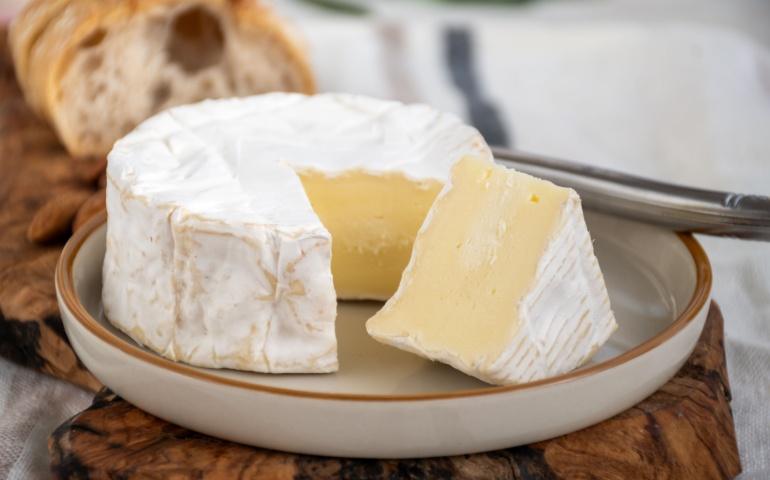 French soft Camembert cheese