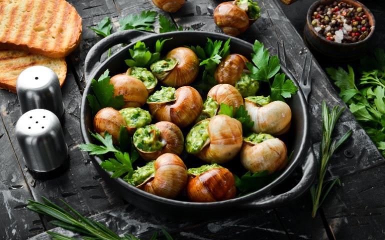 Escargots, French traditional food