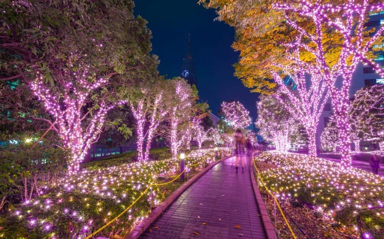 Shinjuku Park decorated for Christmas