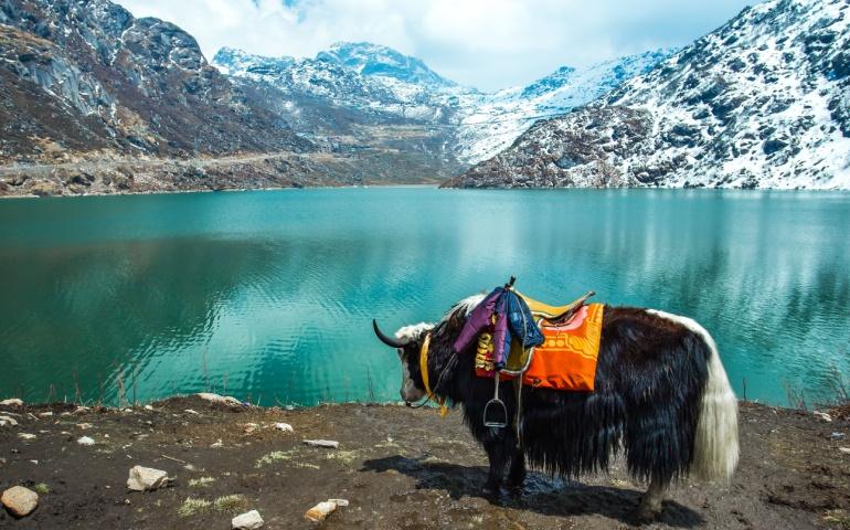 Tsangmo Lake in Sikkim, India.
