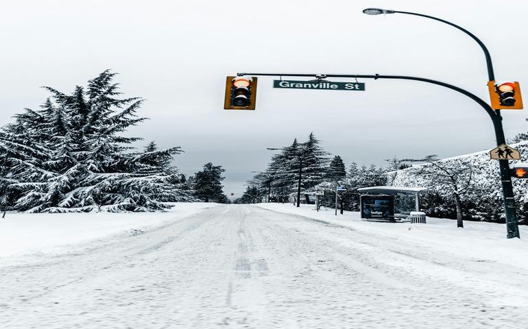 Trees Covered in Snow in Vancouver