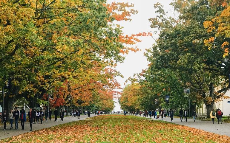 The University of British Columbia, Vancouver, in the Autumn Season