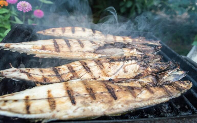Grilled Fish