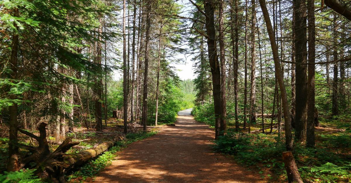 Non Editorial/Unsplash