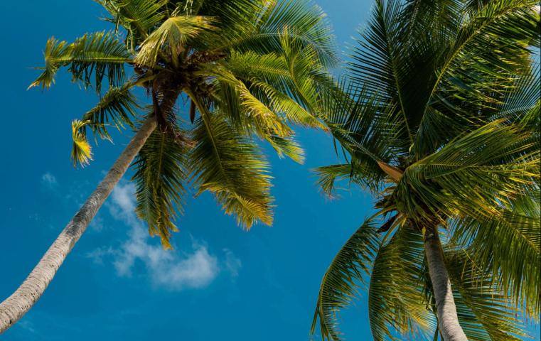 Maldives