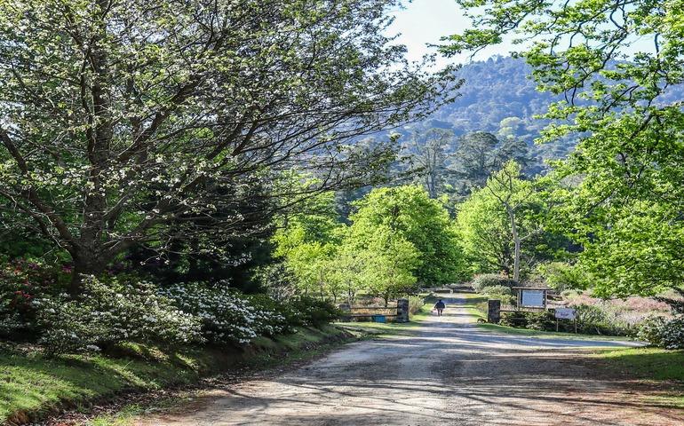 Entrance to Hogsback Arboretum