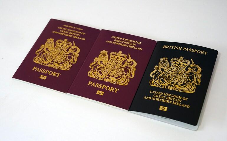 Passport colours