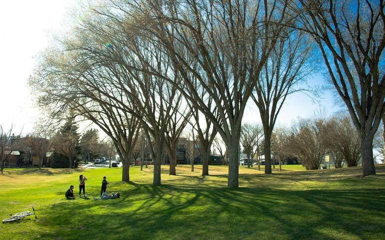 A Beautiful Spring Day in the Park, Calgary