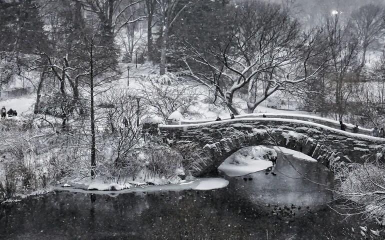 Snow-covered Central Park