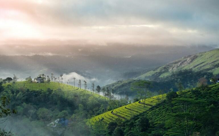 Munnar 