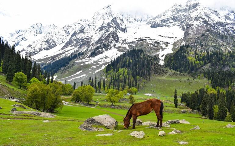 Sonamarg in Kashmir