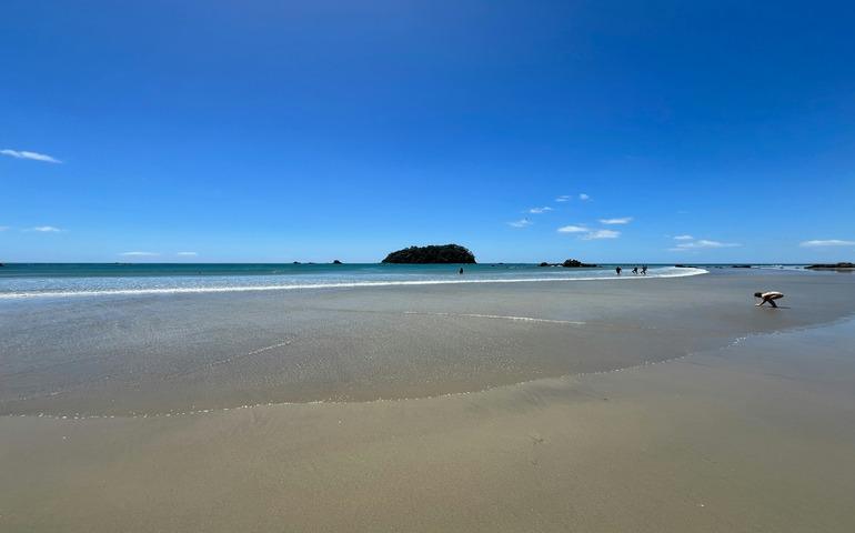 Bay of Plenty, New Zealand