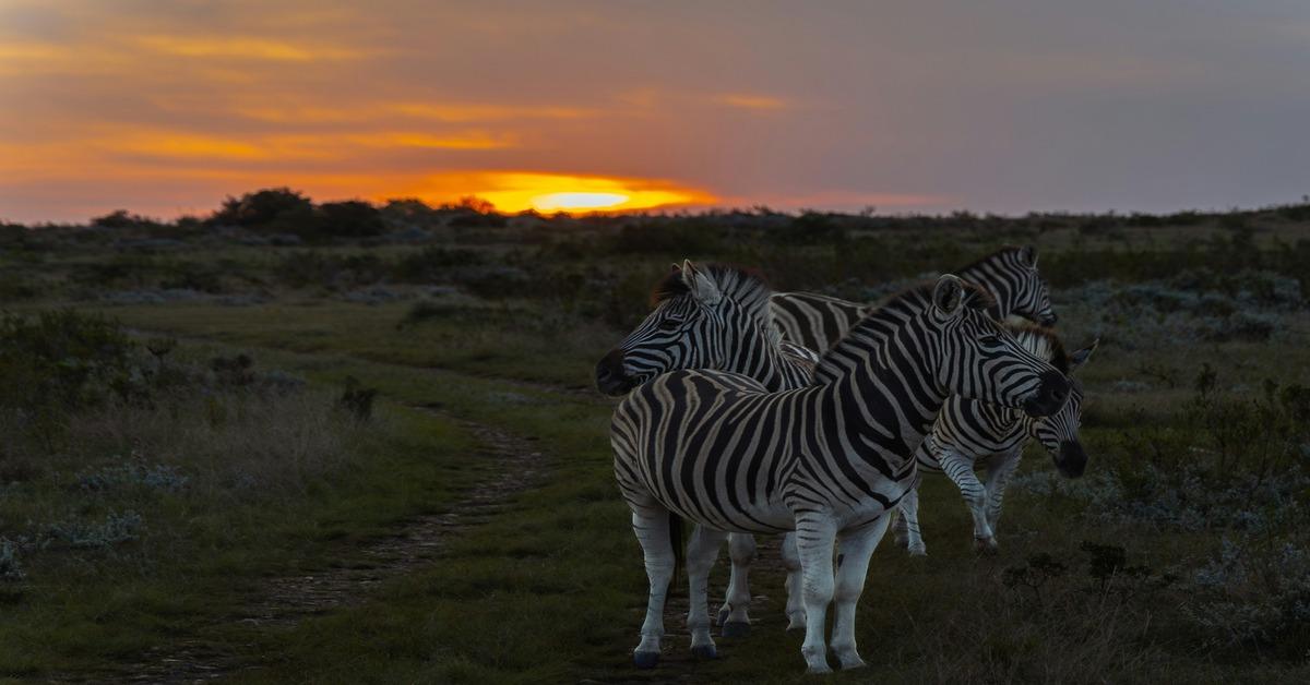 Non Editorial/ Unsplash