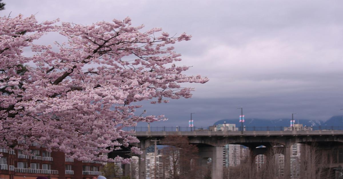 Non Editorial/Unsplash