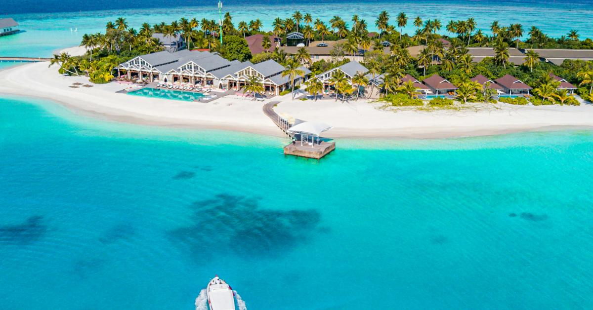 Non Editorial/Unsplash