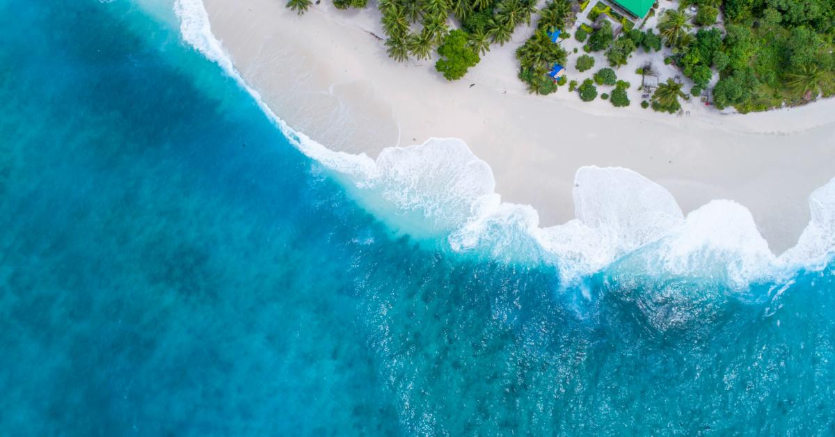 Non Editorial/Unsplash