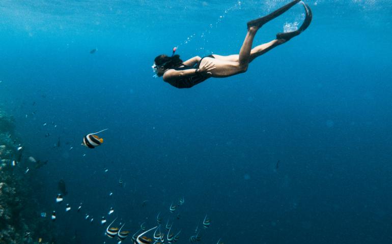 House-reef snorkeling in the Maldives