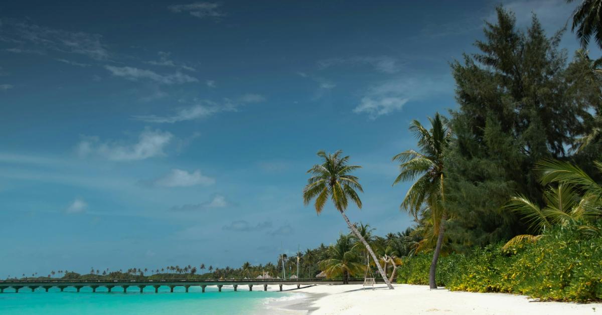 Non Editorial/ Unsplash