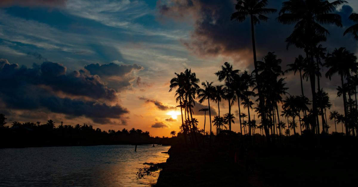 Non Editorial/Unsplash