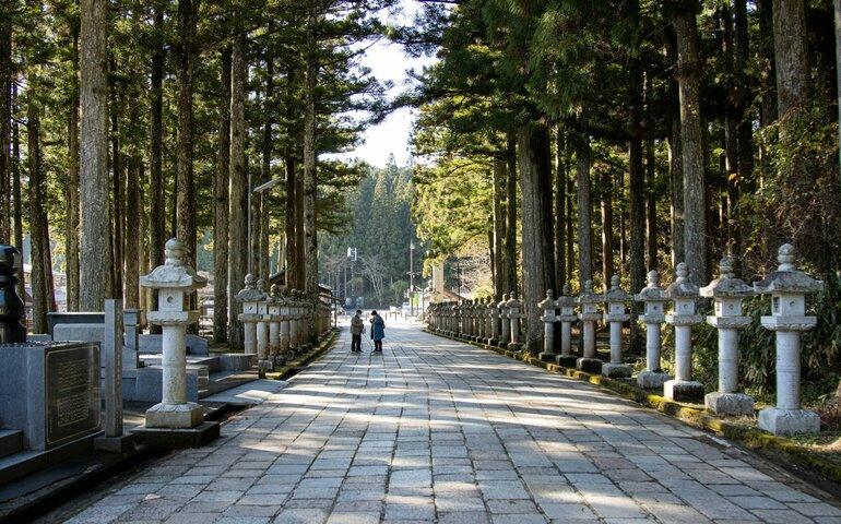 A peaceful pathway in Koya San, Japan