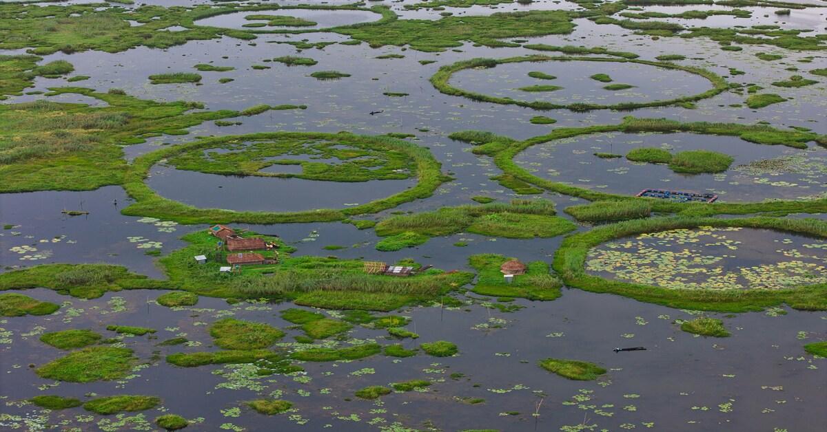 India Houses the World’s Only Floating National Park! Here’s Why You Need to Visit Now