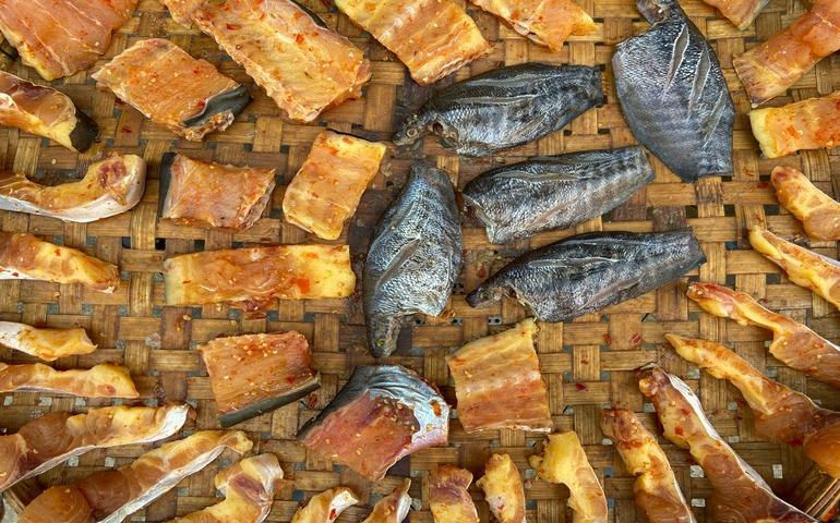 Dried, salted fishes

